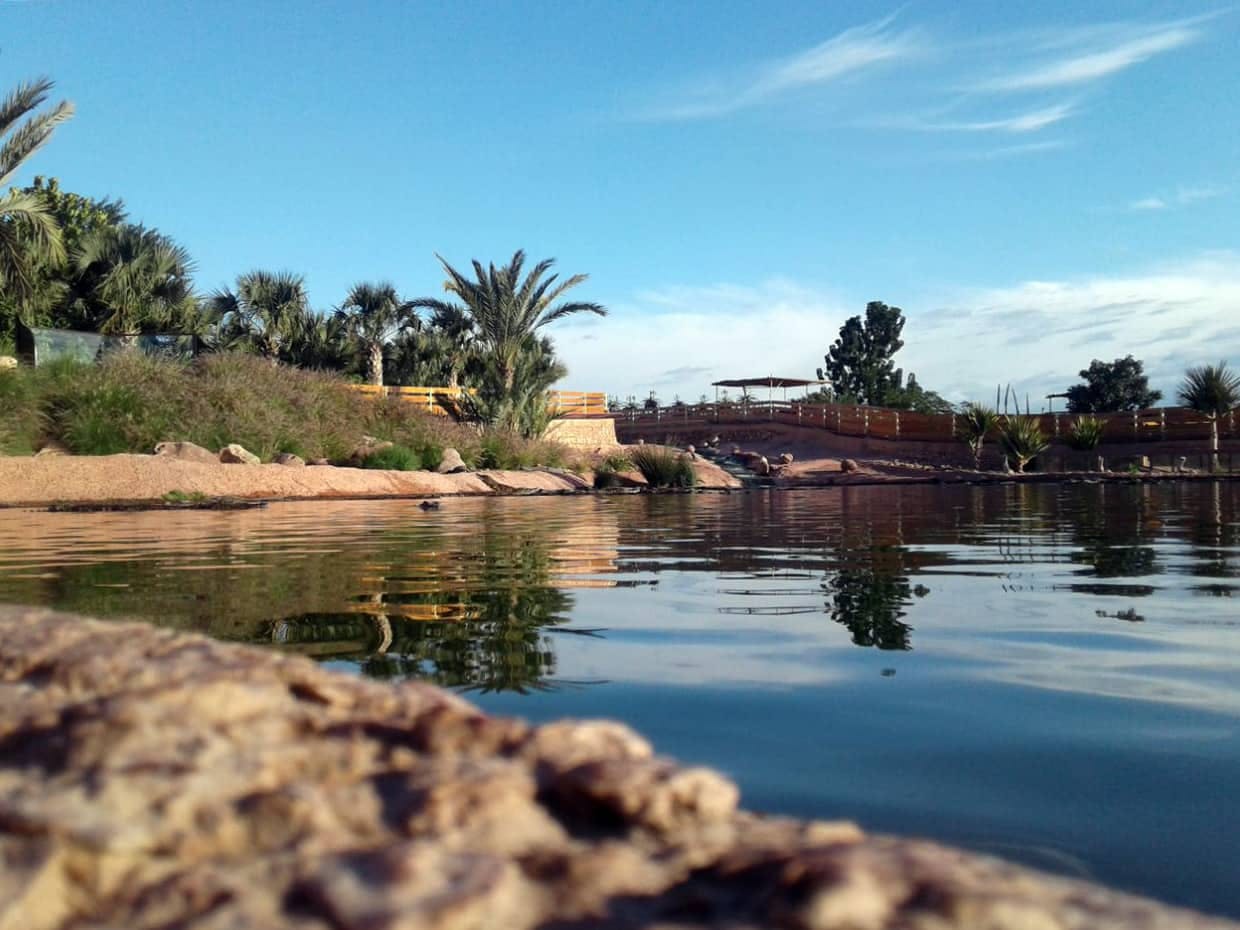 Agadir Crocoparc Tour
