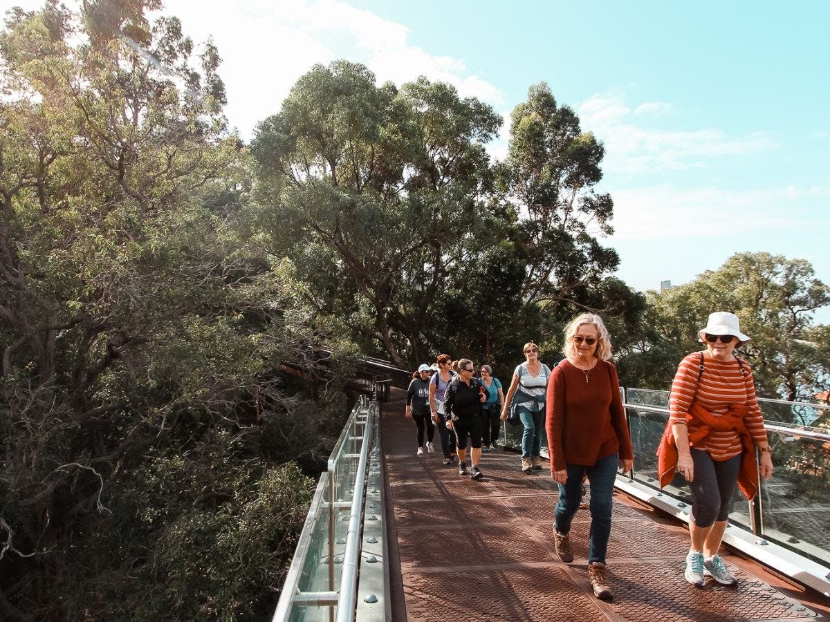 Guided Hike of the highlights of Kings Park