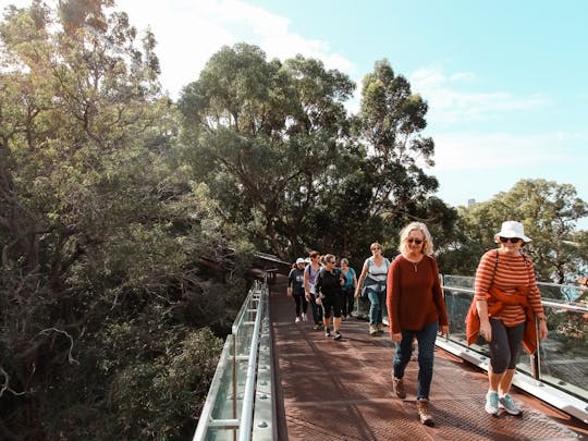 Guided Hike of the highlights of Kings Park