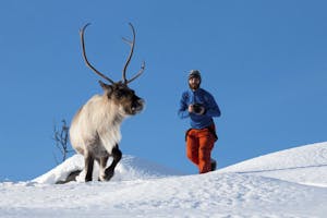 Tromsø image