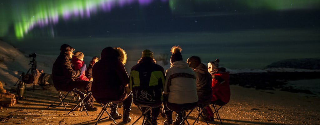 Tour pela aurora boreal em pequeno grupo