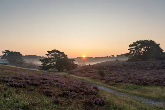 Zelfgeleide interactieve natuurroute van Landgraaf