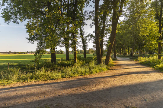 Self-guided interactive nature trail of Eersel