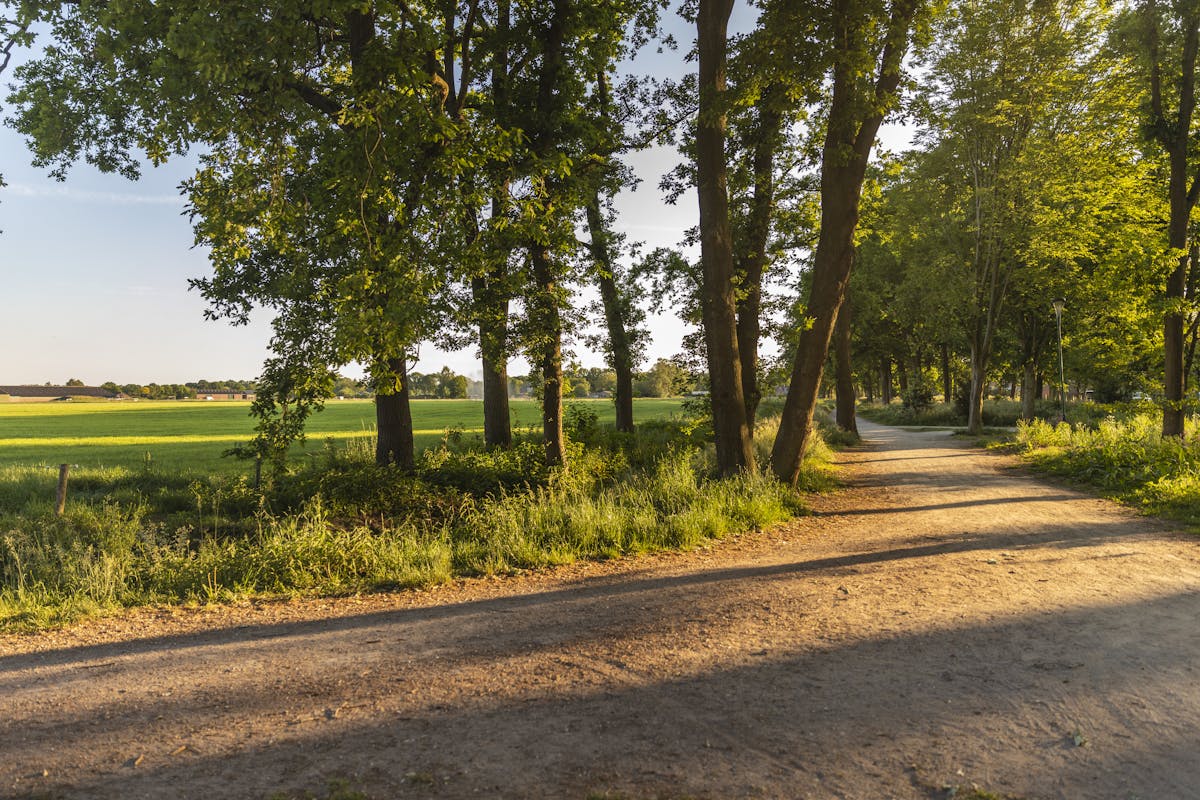 Zelfgeleide interactieve natuurroute van Eersel