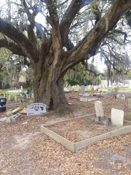 Guided spirits and spirits tour in New Orleans
