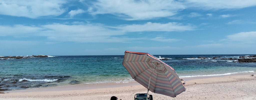 Experiencia de snorkel en la playa escondida de Los Cabos