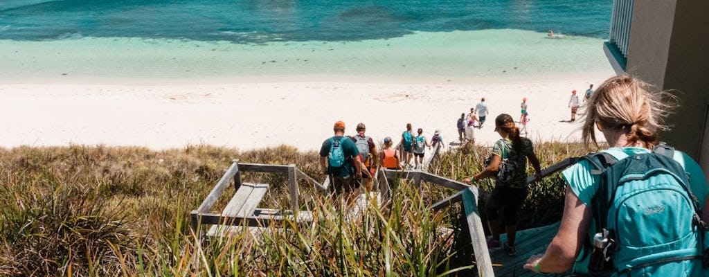 Guided Hike of Rottnest Island, lakes and bays
