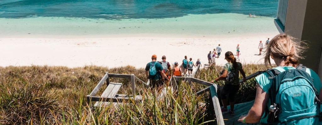 Caminata guiada de la isla Rottnest, lagos y bahías