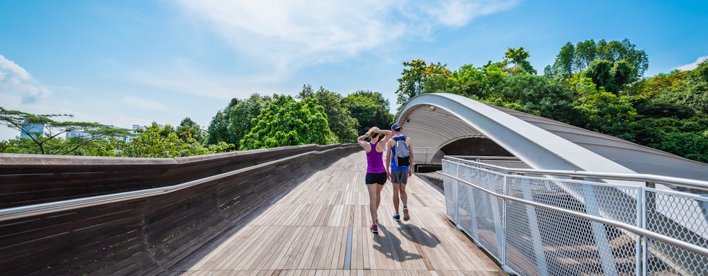 Passeggiata di mezza giornata sulle creste meridionali di Singapore