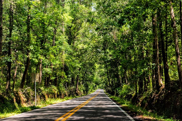 Tallahassee