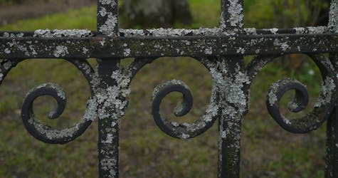 Passeio guiado a pé pelo cemitério de Södermalm