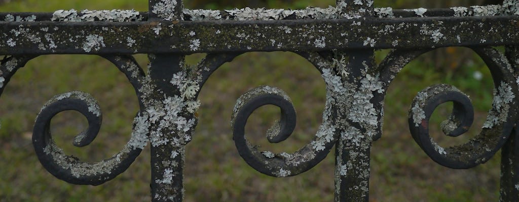 Visite guidée à pied du cimetière de Södermalm