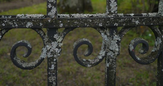 Guided walking tour through Södermalm churchyard