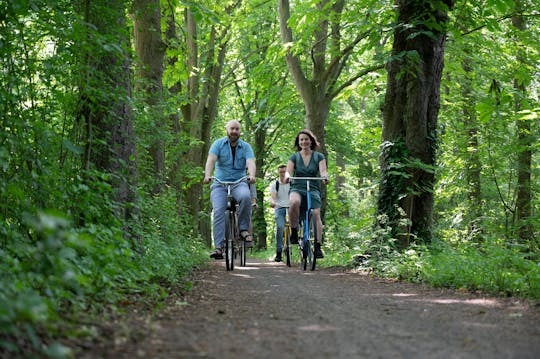 Tour autoguidato di Goesbeek in bicicletta