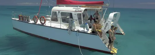 Reef Daytripper - journée complète de plongée avec tuba et de plongée sous-marine à Cairns