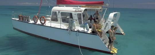 Reef Daytripper giornata intera di snorkeling e immersioni subacquee a Cairns