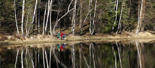 Caminhada guiada de meio dia no Parque Nacional Nuuksio