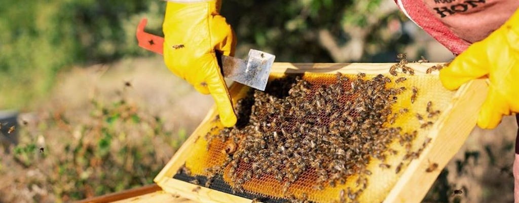 Excursão de 1 hora na Honey House aos sábados