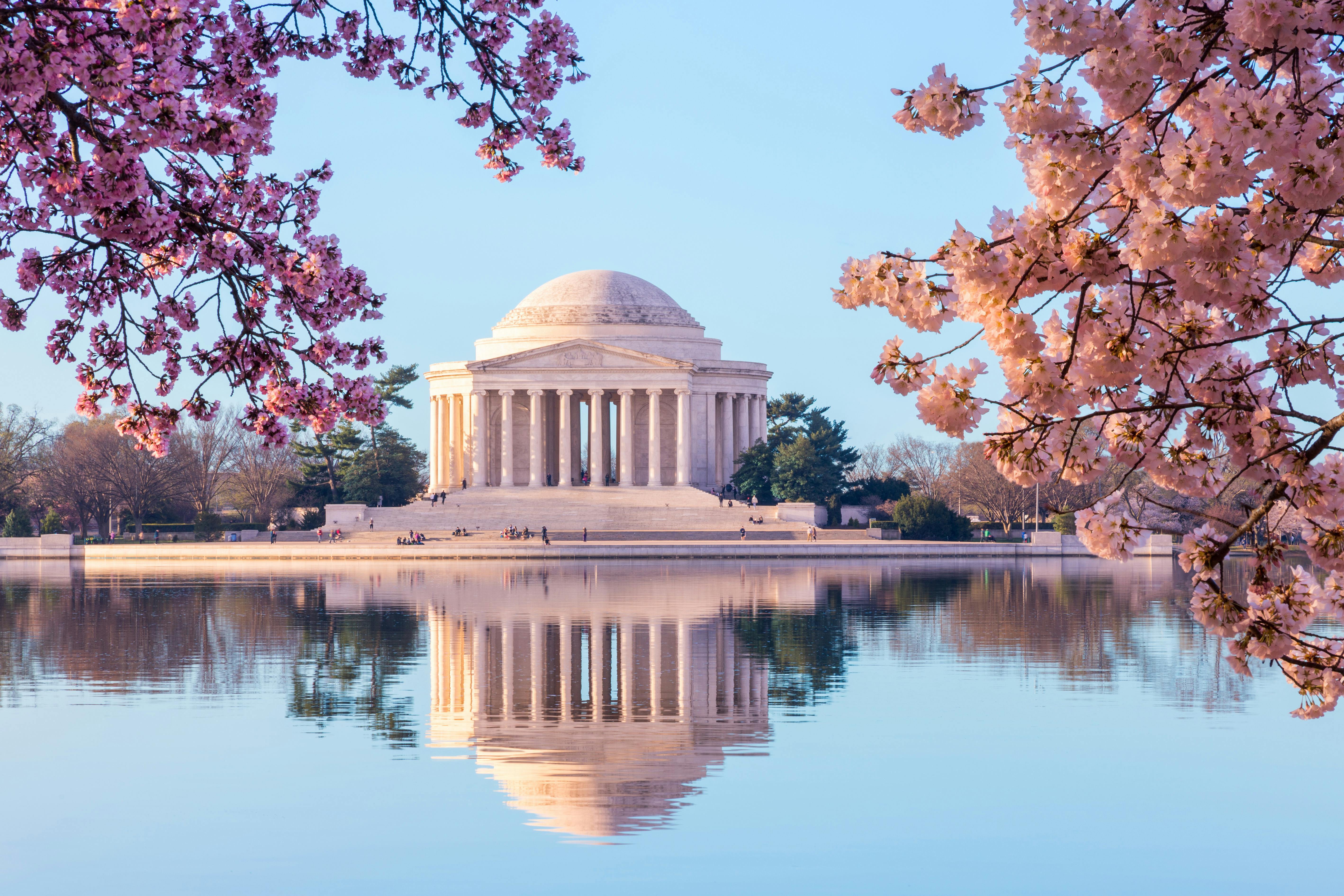 Tidal Basin: Stroll around the cherry blossoms and monuments on an audio tour