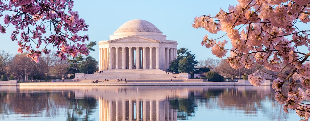 Tidal Basin: Stroll around the cherry blossoms and monuments on an audio tour