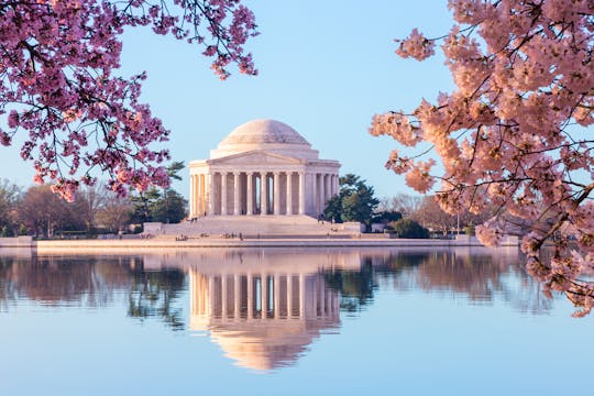 Tidal Basin: Stroll around the cherry blossoms and monuments on an audio tour