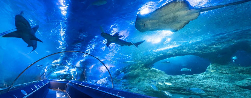 The Aquarium of Western Australia (AQWA)