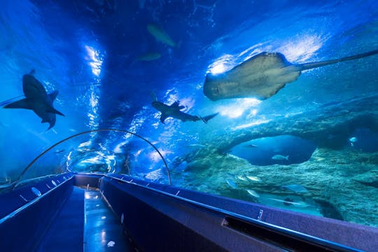 Das Aquarium von Westaustralien (AQWA)