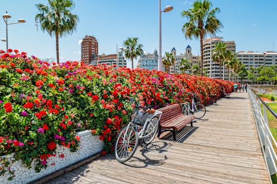 Valencia up to 3 hours bike and e-bike rental