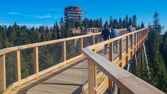 Excursão de Cracóvia à caminhada pelas copas das árvores da Eslováquia, Zakopane e Spa Termal