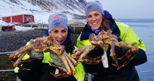 North Cape King Crab Express com farinha de caranguejo