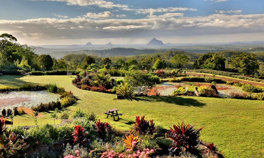 Maleny Botanic Gardens and Rainforest scenic day tour with lunch