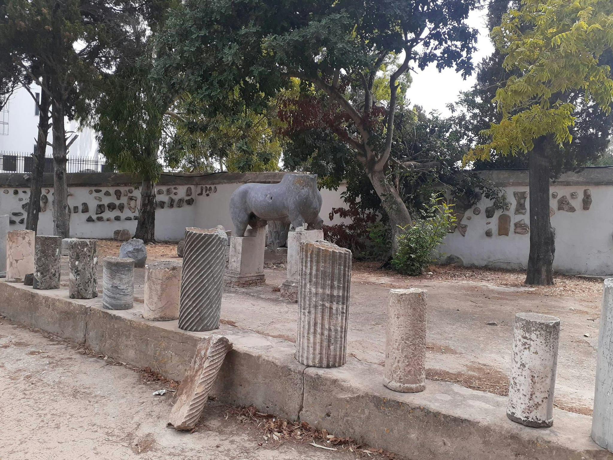 Ancient Carthage and Sidi Bou Said Tour with Lunch