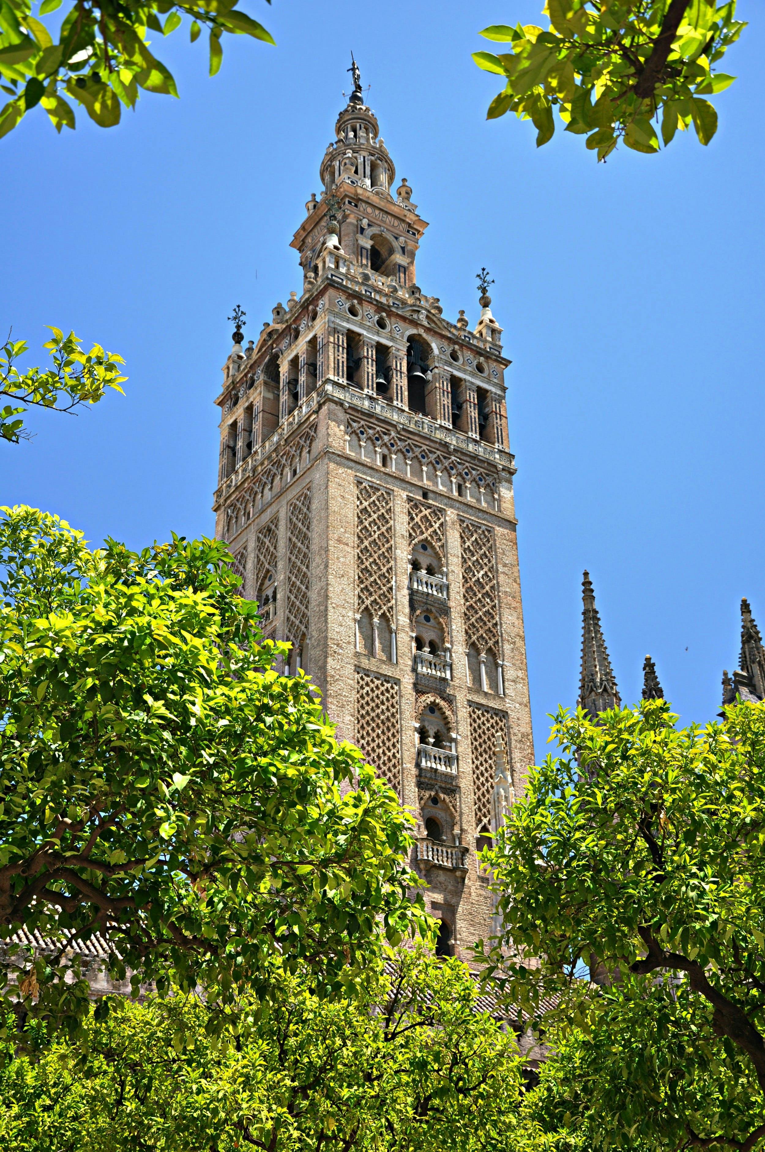 Tickets voor de Kathedraal van Sevilla en de Giralda klokkentoren en een rondleiding met gids