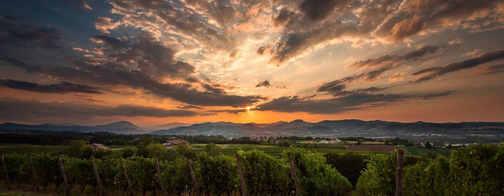 Lambrusco-ervaring in Monte delle Vigne