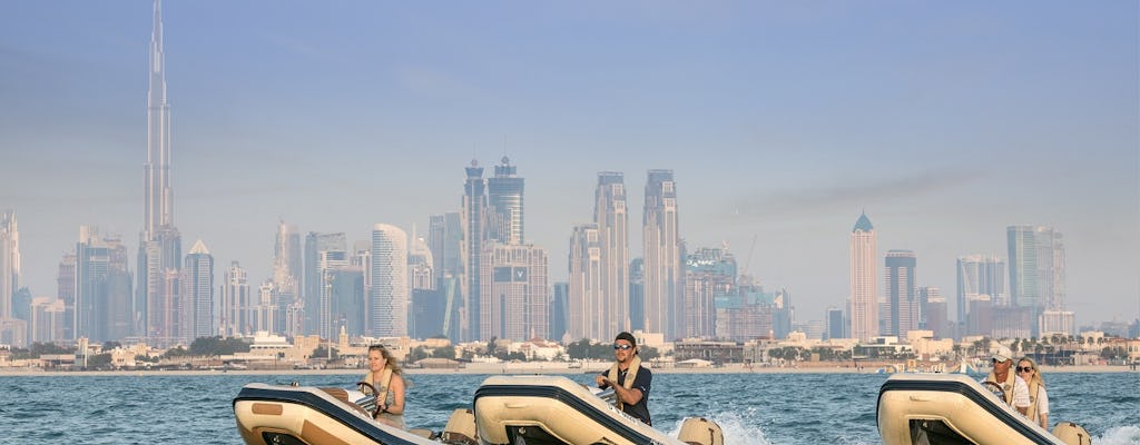 Tour in barca di 90 minuti a metà mattinata lungo la costa di Dubai