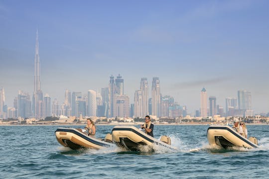 Excursion en bateau de 90 minutes en milieu de matinée le long de la côte de Dubaï