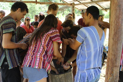 Elephant Experience & Jungle Nature Walk