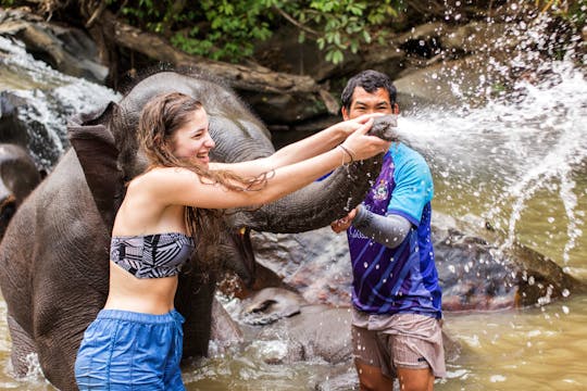Elephant Experience & Jungle Nature Walk