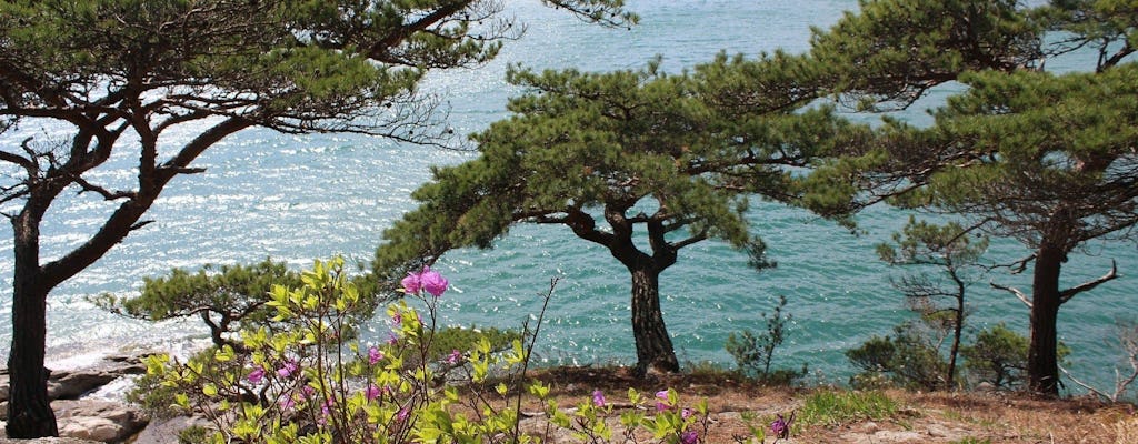Romantische privéwandeling door Vladivostok