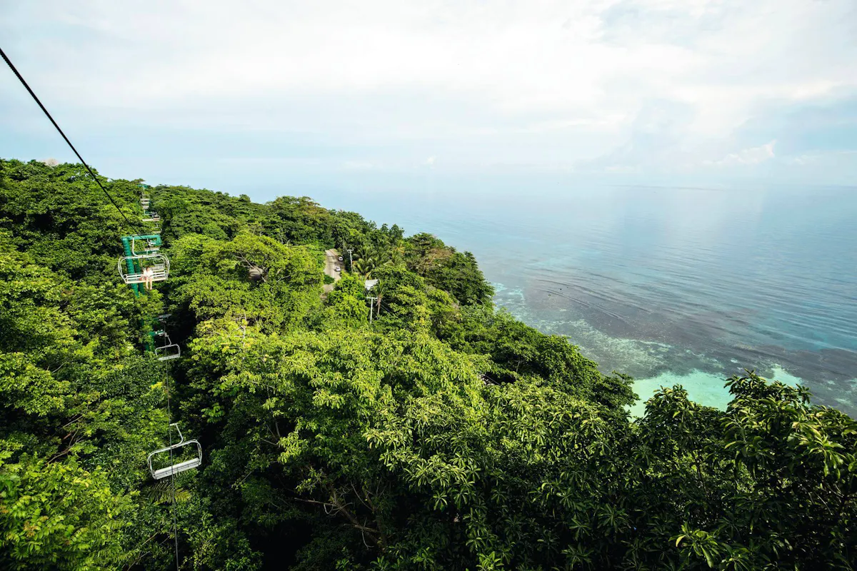 Mystic Mountain Diamond