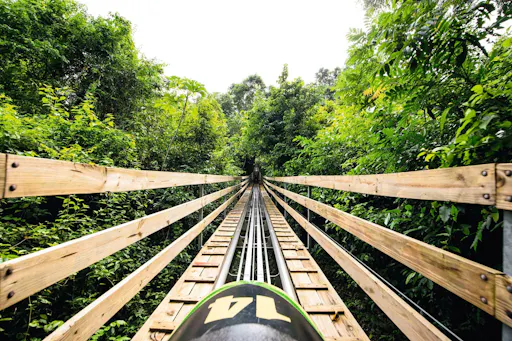 Mystic Mountain Diamond