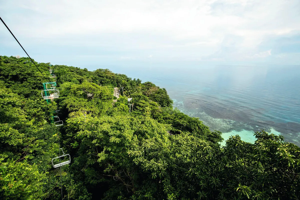 Mystic Mountain Diamond