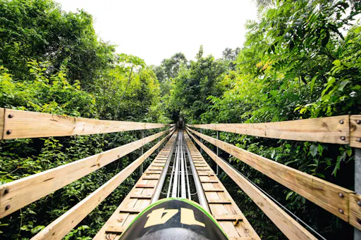 Mystic Mountain Diamond