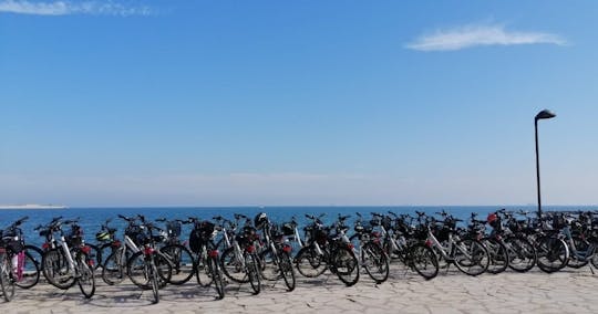 Valencia up to 7 hours bike and e-bike rental