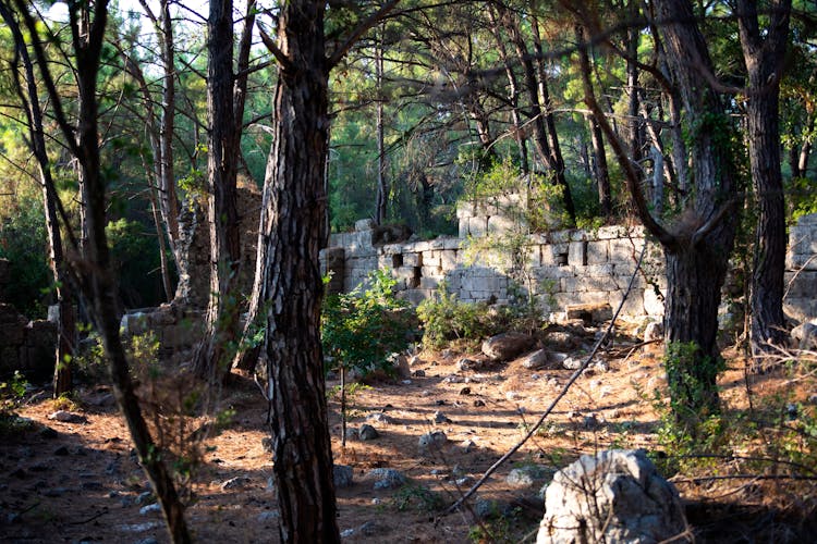 Private Phaselis & Tahtali Mountain Tour