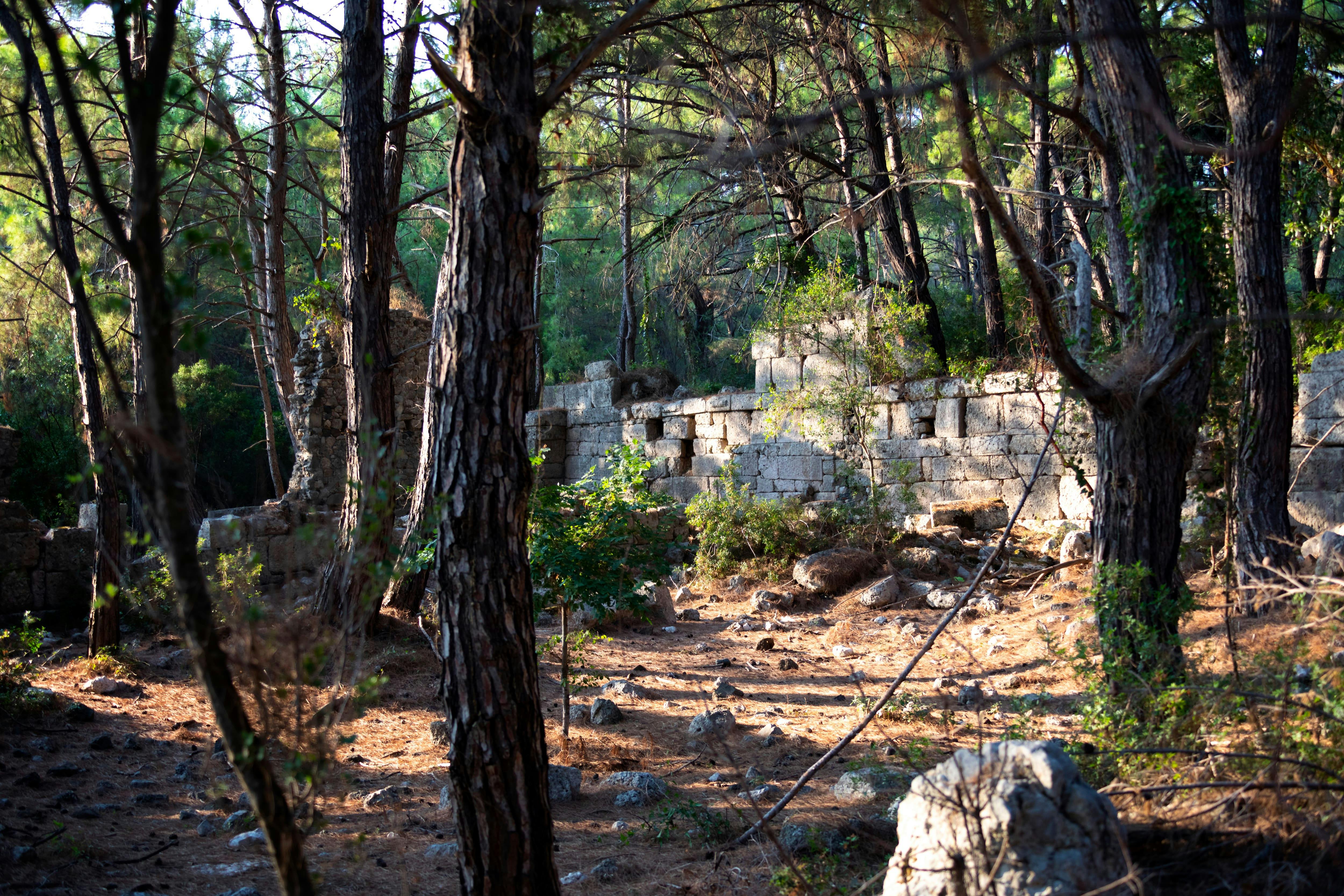 Private Phaselis & Tahtali Mountain Tour