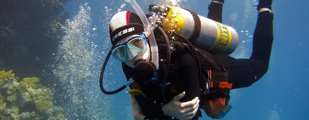 Diving experiences and packages in Sharm El Sheikh