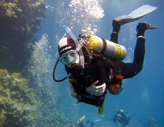 Diving experiences and packages in Sharm El Sheikh