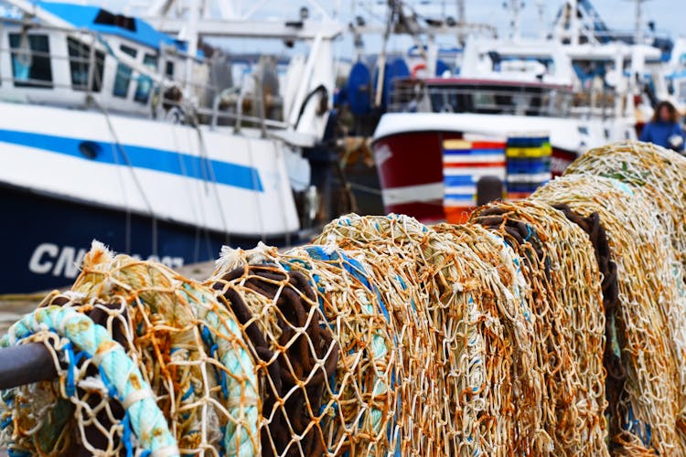 Private walking tour of Honfleur with a local guide