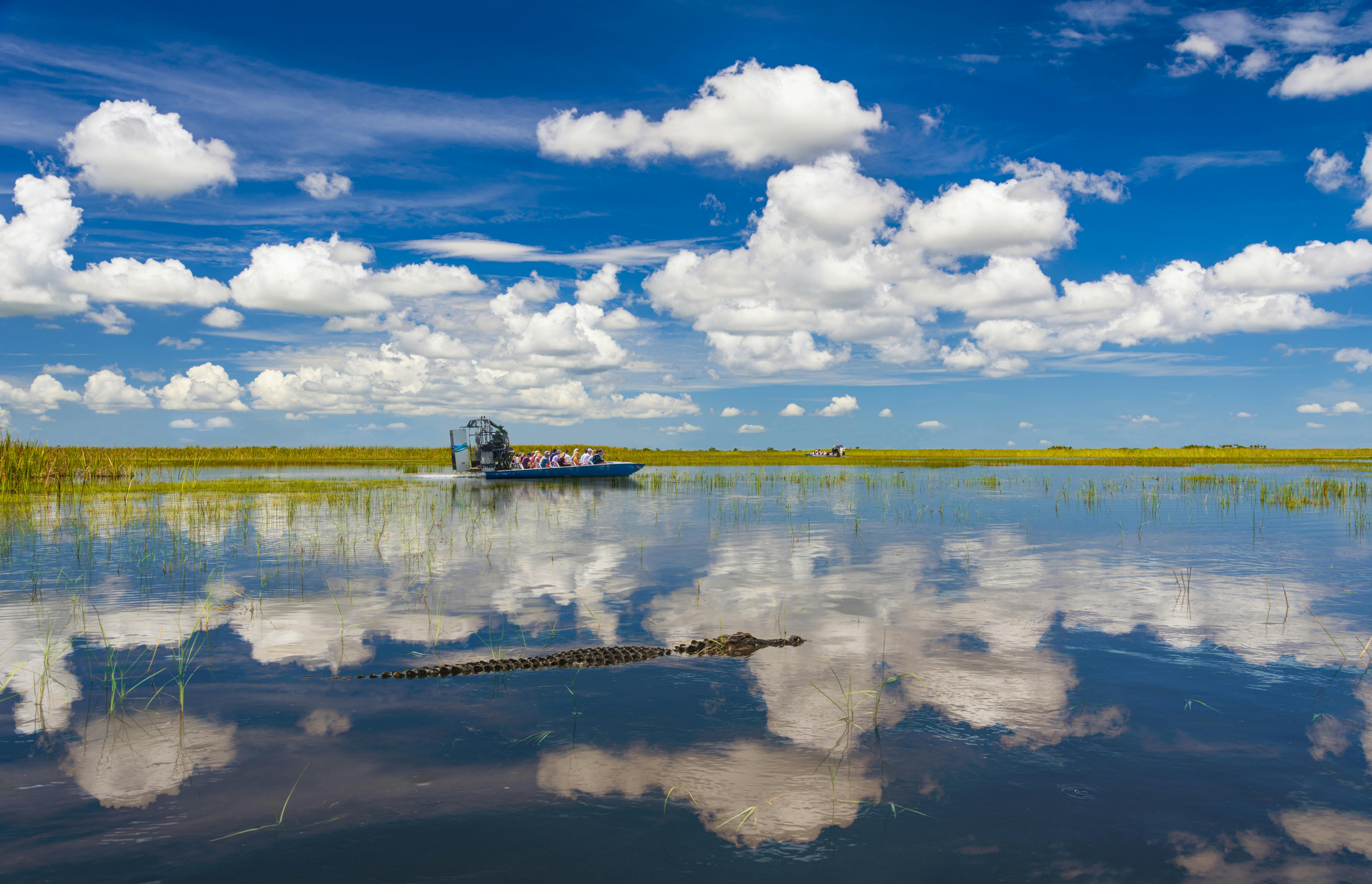 Everglades National Park full day tour with round trip transfer Musement